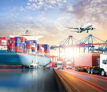 Policy Support and Business Environment